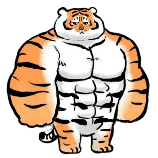 😌 tigre, muscoloso, cartone animato, animale, forte, divertente telegram sticker