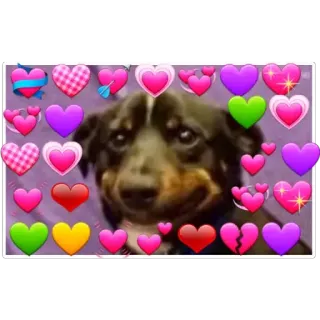 😀 hond, hart, liefde, schattig, dier telegram sticker