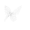 🦋
