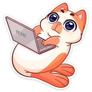 💻 PESOS Katze, Laptop, Geld, süß, Cartoon, Pesos telegram sticker