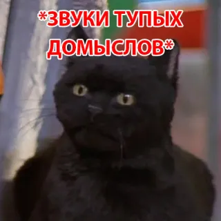 😙 ЗВУКИ ТУПЫХ ДОМЫСЛОВ 猫, 黒猫, ミーム, テキスト, ロシア語 telegram sticker