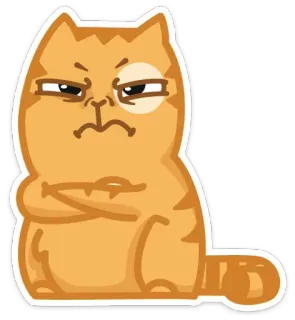 😠 gato, bravo, rabugento, braços cruzados, desenho animado, adesivo telegram sticker