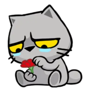 🌸 cat, sad, flower, tears, cartoon, gray, yellow telegram sticker
