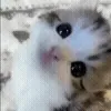 🙂