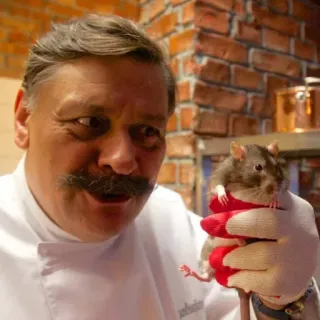 🐀 chef, ristorante, cucina, ratto, cucina telegram sticker