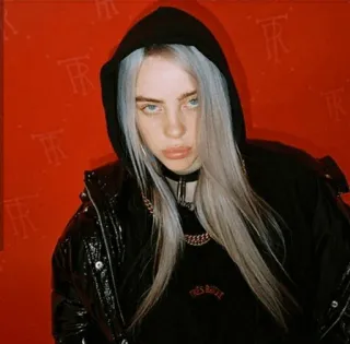 😒 Billie Eilish This House música, pop, cantante, retrato, celebridad, mujer telegram sticker