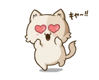 😍 kot, słodki, miłość, oczy w serca, zwierzę, naklejka telegram sticker