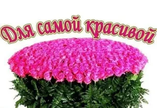 🌟 Для самой красивой telegram sticker