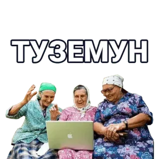 👵 ТУЗЕМУН wanita tua, laptop, lucu, nenek, bulan pribumi, lansia telegram sticker