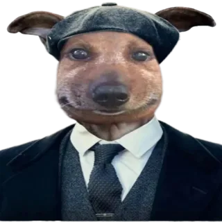 👨‍⚖️ 개, 피키 블라인더스, 정장, 동물, 캐릭터, 인물 사진, 모자 telegram sticker