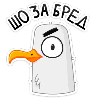 😬 ШОЗАБРЕД pássaro, gaivota, desenho animado, engraçado, adesivo telegram sticker