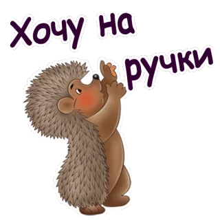 😍 Хочу на ручки ёж, милый, мультфильм telegram sticker