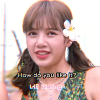 🐰 Lisa How do you like it? 너무 재미있어 kpop, lisa, blackpink, blume, lächeln, süß telegram sticker