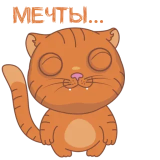 🌈 МЕЧТЫ... cat, dreams, orange, cute, cartoon telegram sticker