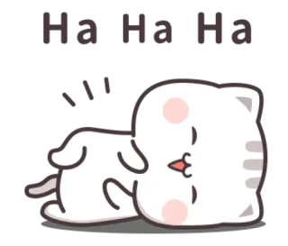 😄 zzzz cat, sleepy, cute, kawaii, sleeping, animal whatsapp sticker
