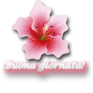 🌺 Buona giornata! цветок, привет, итальянский, хорошего дня telegram sticker