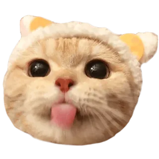 😝 cat, kitten, animal, cute, tongue, adorable, pet telegram sticker