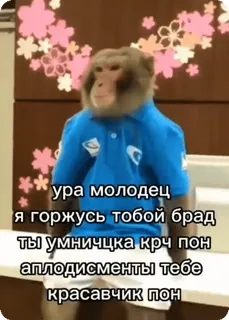 🌟 ура молодец
Я горжусь тобой брад
ты умничцка крч пон
аплодисменты тебе
красавчик пон monkey, celebration, russian, congratulations, animal telegram sticker