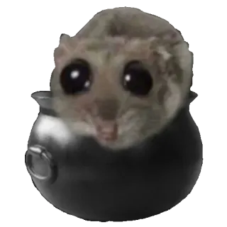 🥘 sugar glider sugar glider, cauldron, cute, animal, meme, pot, funny telegram sticker