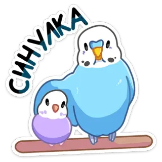 🦜 СИНУКА pájaro, periquito, animal, mascota, lindo, azul whatsapp sticker