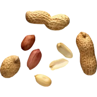 😠 food, peanut, snack, nuts whatsapp sticker