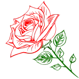 🌹