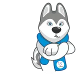 🙅♂️ chó, động vật, hình dán, husky, hoạt hình telegram sticker