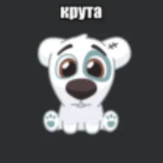 💥 крута hond, dier, schattig, cartoon telegram sticker