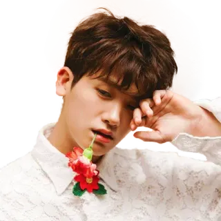 😔 coreano, uomo, fiore, ritratto telegram sticker
