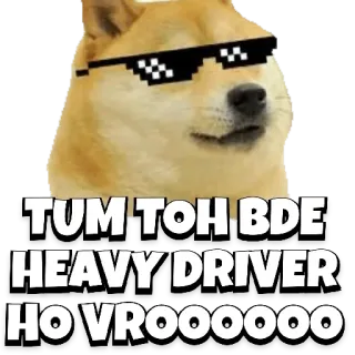 😎 TUM TOH BDE HEAVY DRIVER HO VROOOOOOO telegram sticker