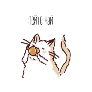 🍵 психичи кот, напиток, животное, мультфильм telegram sticker