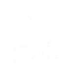 🎵