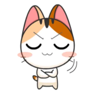 😟 gato, bravo, desenho animado, animal, fofo, personagem telegram sticker