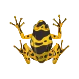 🐸