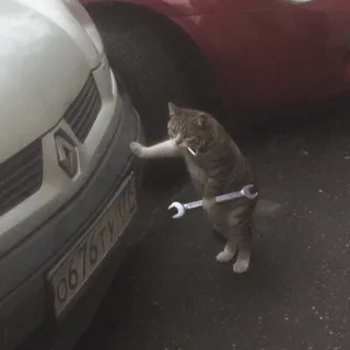 ⚡️ gato, mecánico, llave inglesa, coche, animal, gracioso, mascota telegram sticker