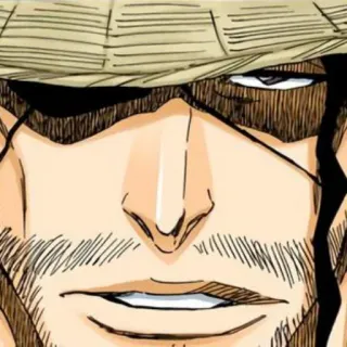 ⚔ Shunsui Kyoraku Bleach Anime, Manga, Kapitan, Żniwiarz dusz, Japoński telegram sticker