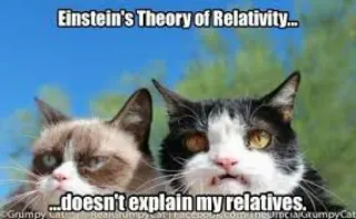 🛠 Grumpy Cat Einstein's Theory of Relativity...
...doesn't explain my relatives. 臭脸猫, 表情包, 亲戚, 搞笑, 猫, 幽默, 相对论, 爱因斯坦 whatsapp sticker