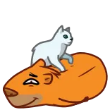 💆‍♂️ gato, capivara, animais, fofo, amizade, desenho animado telegram sticker