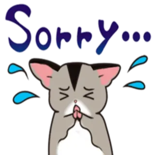 🙏 Sorry... Entschuldigung, Sorry, niedlich, Tier, Katze, Cartoon telegram sticker