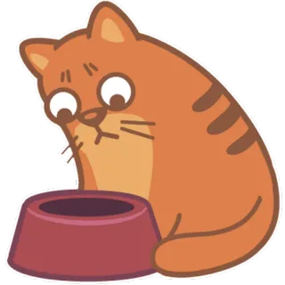 😟 gato, mascota, animal, triste, cuenco vacío, comida, hambriento telegram sticker