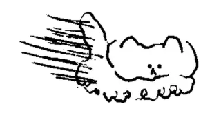 🤍 кот, средний палец, оскорбительный, животное, мультфильм telegram sticker