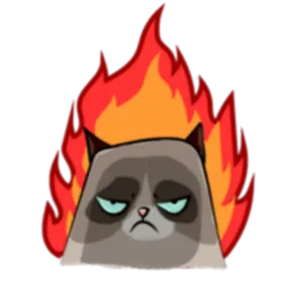 😡 Grumpy Cat кот, ворчливый, огонь, мем, злой, мультфильм telegram sticker
