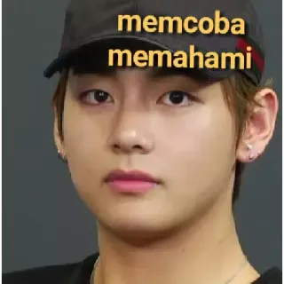 🏁 memcoba memahami Meme, Porträt, Indonesisch, Text, Ausdruck telegram sticker