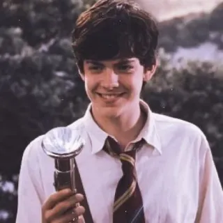 ✧◝edmund pevensie² || @sweetymills whatsapp stickers