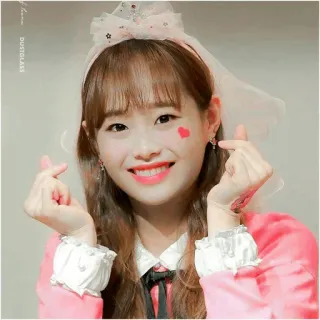 🍃 여자, 웃음, 아이돌, 하트, 귀여운, 한국, 소녀, K팝 telegram sticker