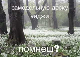 🌟 самодельную доску
уиджи
помнеш? whatsapp sticker