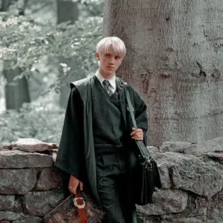 🪐 Draco Malfoy Harry Potter Draco Malfoy, Slytherin, Mago, Harry Potter, Tom Felton telegram sticker