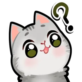 🤨 cat telegram sticker
