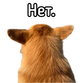 😐 Нет. hond, corgi, nee, russisch telegram sticker