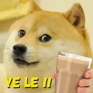 ☕ YE LE !!! doge, perro, meme, leche con chocolate telegram sticker